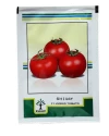 Tomato Hybrid Seeds of Kalash Seeds Pvt. of Kalash Seeds Pvt.