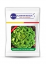 Sarpan Lettuce 101 Green Seeds, Sturdy Leaves, Attractive Leafs, High Leaf Count