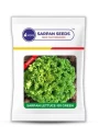 Lettuce Seeds of Sarpan Seeds of Sarpan Seeds