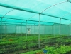 Green Garden Shade Net - Genuine 75% Shade,  UV Stabilized Material, Multipurpose Use.