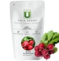 Radish Hybrid Seeds of Urja Agriculture Company of Urja Agriculture Company