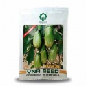 VNR Brinjal Utkal F1 Hybrid Seeds, Began Ke Beej, Best Quality and Germination