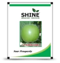 Indian Squash Seeds of Shine Brand Seeds of Shine Brand Seeds