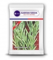 Sarpan Cluster Beans - 201 Seeds, Dark Green Color With Best Germination, For Kharif and Summer