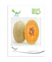 Iris Hybrid Musk Melon, Vegetable Seeds, Kharabooja Ka Beej, Best In All Seasons (15 Seeds)