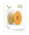 Musk Melon Seeds of Iris Hybrid Pvt. of Iris Hybrid Pvt.