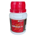 Willowood WILLOXAM-FS Thiamethoxam 30% FS Insecticide, Effective For Sucking Pests In Rice And Cotton Crop