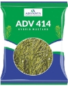 UPL Advanta ADV414 Hybrid Mustard Seeds , Indian Sarson Seeds, High Yield Potential
