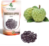 Custard Apple Seeds of Sri Sai Forestry of Sri Sai Forestry