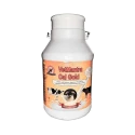 VetMantra Cal Gold - Calcium for Milk Enhancer, Vitamins Mineral Mixture, Best For Milk Enhancer 