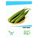 Iris Hybrid Vegetable Seeds Ridge Gourd, Turai Ke Beej, Turia Seeds, Excellent Germination, (15 Seeds)