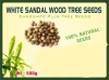 White Sandal Seeds Santalum Album White Sandalwood Tree Seed, Good Germination Quality