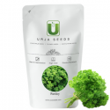 Urja Cress Curled Parsley Seeds, Bright Green Leaves Are Finely Divided And Curled, Cold Weather Crop