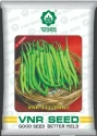 Chilli Seeds (Pungent- Hari Mirch) of VNR Seeds Pvt. of VNR Seeds Pvt.