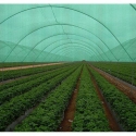 Green Garden Shade Net - Genuine 50% Shade Mesh, Semi Virgin, Economical Range