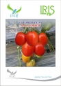 Iris Vegetable Seeds F1 Hybrid Tomato Balasaheb, Excellent Fruit Setting and Early Maturity
