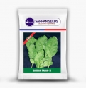 Sarpan Hybrid Spinach Seeds SP 11, Profuse Foliage, Uniform Green Tender, Broad Leaves.