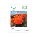 Iris IHS-786 F1 Hybrid Orange Marigold Seeds, Compact Orange Blooms, High Yield And Long Stems