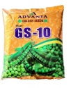 Advanta Golden GS-10 Green Peas Seeds, Medium Tall with Well Spread Lateral Branches.