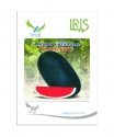 Iris Hybrid Fruit Seeds F1 Hybrid Watermelon Black King, Oblong Shape, Glossy Black Color