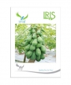Iris Papaya Papita Seeds, Papaya Ka Beej, Hybrid Fruit Seeds, For All Seasons, Red Lady Type (10 Seeds)