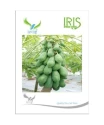Papaya Seeds of Iris Hybrid Pvt. of Iris Hybrid Pvt.