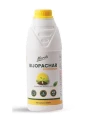 Dr.soil Bijopachar Rhizobium (ISO certified) Dr.soil seed treatment Groundnut, Green gram, Black gram, Peas, Soyabean, Beans, Cowpea, etc