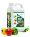 CHILLI GROW Amruth Chilli Microbial Consortia-ACC, Chili Special, Best For Plant Development