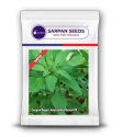 Sarpan Rajgiri Amaranthus Green 99 (Multicut Variety), Green Medium Size Leaf