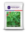 Amaranthus Seeds of Sarpan Seeds of Sarpan Seeds