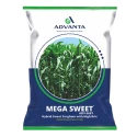 Advanta Mega Sweet 6681 Sorghum Hybrid Fodder Seeds, High Yield, Nutritious, Single Cut, Disease Tolerant