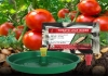 ACTIVE IPM Water Trap + Tuta Absoluta Pheromone Lure, Pest Control Tool for Tomato Leaf Miner