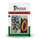 Indus Seed F1 Hybrid Red Sun Dwarf Papaya Seeds, Uniform Fruits, Tolerant To Ringspot Virus (10 Seeds)