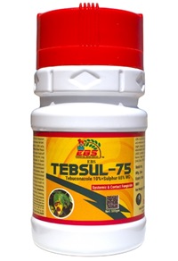 EBS Tebsul-75 Tebuconazole 10% + Sulphur 65% WG Fungicide, Used for Wheat, Rice, Groundnut, Tea, Soybean, Banana and Coffee.