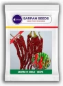 Chilli Seeds (Wrinkled Variety) of Sarpan Seeds of Sarpan Seeds