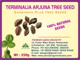 Bokashi Bran Terminalia Arjuna Tree Seed full rounded crown and cylindrical shape