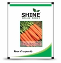 Carrot Shine Early Nantes Imported - Shine Brand Seeds, Gaajar Ke Beej, Excellent Quality