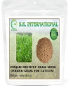 SK ORGANIC Punjabi Multicut Grass Seeds for Cattle Feed Fodder, Multicut Grass 8-9 Cuts In a Year