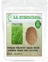 SK ORGANIC Punjabi Multicut Grass Seeds for Cattle Feed Fodder, Multicut Grass 8-9 Cuts In a Year