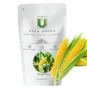 Sweet Corn Seeds of Urja Agriculture Company of Urja Agriculture Company