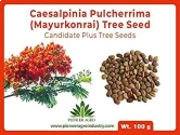 Natural Seeds of Pioneer Agro Industry of Pioneer Agro Industry