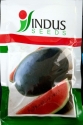 Indus Hybrid Watermelon Seeds Black Queen Plus 1000 Seeds, Oblong Fruit Shape, Black Green Fruit