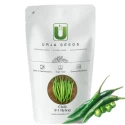 Chilli Hybrid Seeds of Urja Agriculture Company of Urja Agriculture Company