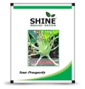 Knol-Khol Seeds of Shine Brand Seeds of Shine Brand Seeds