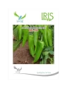 Chilli Seeds (Achari Type) of Iris Hybrid Pvt. of Iris Hybrid Pvt.