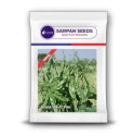 Dolichos Seeds of Sarpan Seeds of Sarpan Seeds
