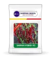 Chilli Seeds (Wrinkled Variety) of Sarpan Seeds of Sarpan Seeds