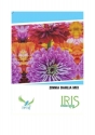 Iris Hybrid Flower Seeds Zinnia Dahlia Mix, Perfect For Outdoor, Color Full Flower