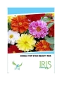 Flower Seeds of Iris Hybrid Pvt. of Iris Hybrid Pvt.