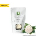 Cauliflower Hybrid Seeds of Urja Agriculture Company of Urja Agriculture Company